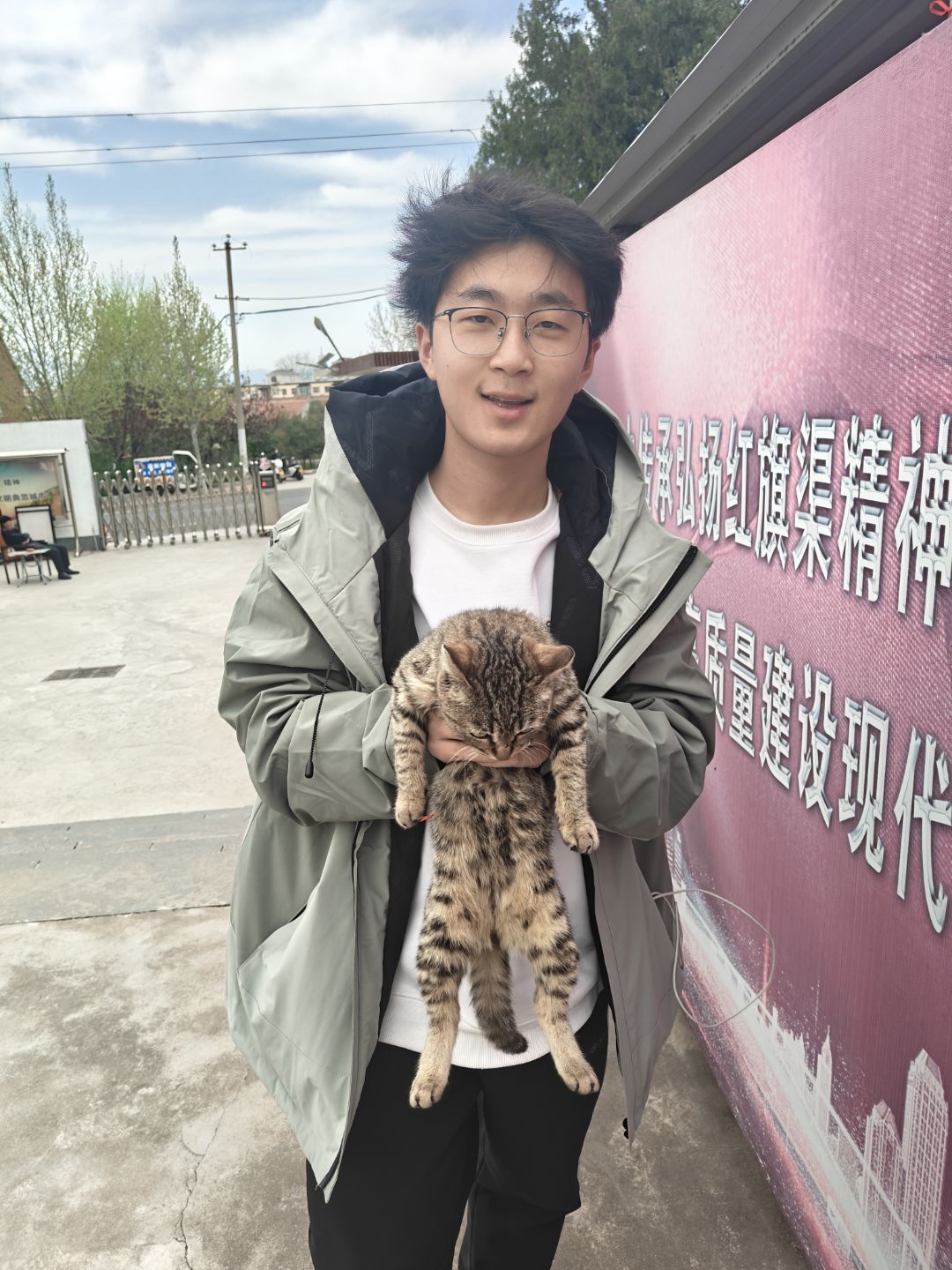 情侣照片